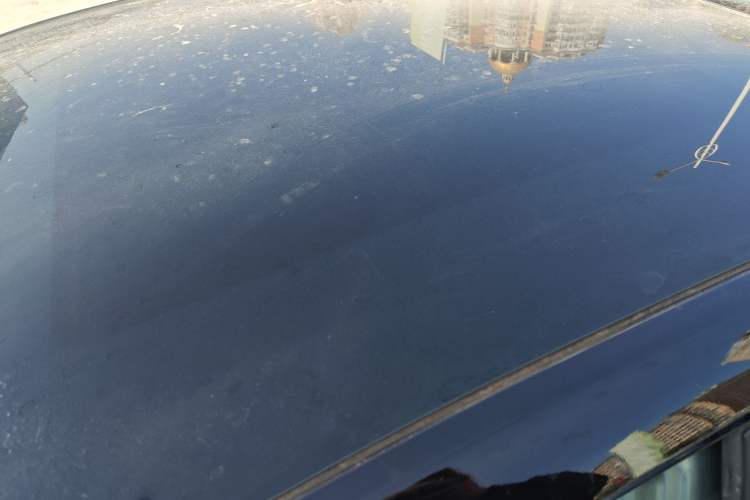 Used Geometry G6 2022 620 New Fun Edition