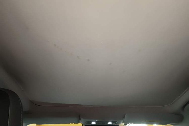 Used AION S Plus 2022 80 Tech Edition Headliner