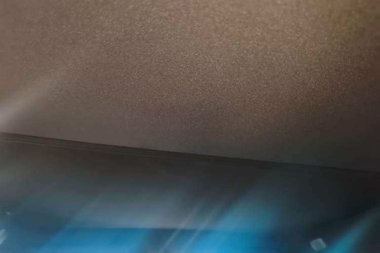 Used ONVO L60 2024 60 kWh Rear-Drive Version Headliner