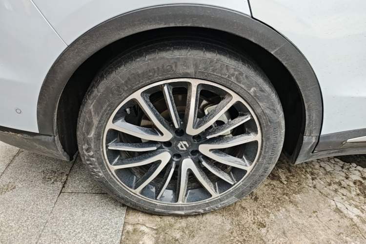 Used Leapmotor C11 2021 Executive Edition 610