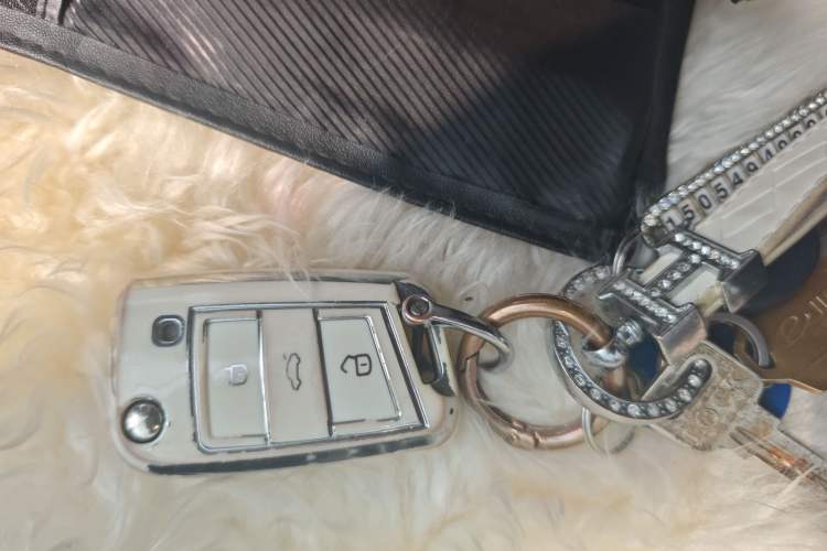 Used Volkswagen Golf Pure Electric 2020 Chari