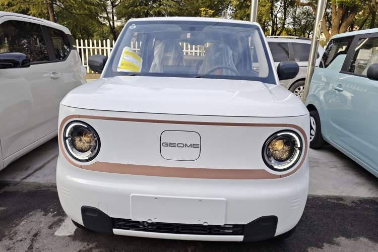 Used Geely Galaxy Panda 2024 Panda Mini 200km Endurance Bear
