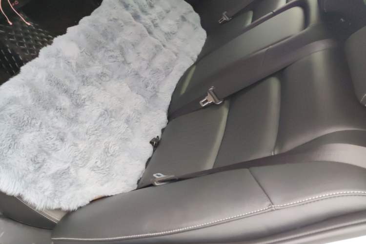 Used Nissan Teana 2021 2.0L XL Upper AD1 Smart Drive & Navigation Edition
