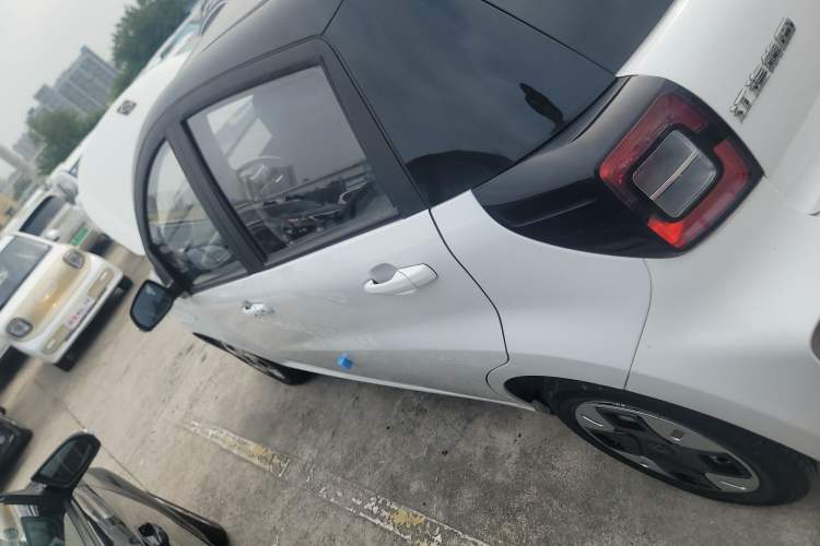 Used SOL E10X 2022 Flower Fairy Design Dandelion