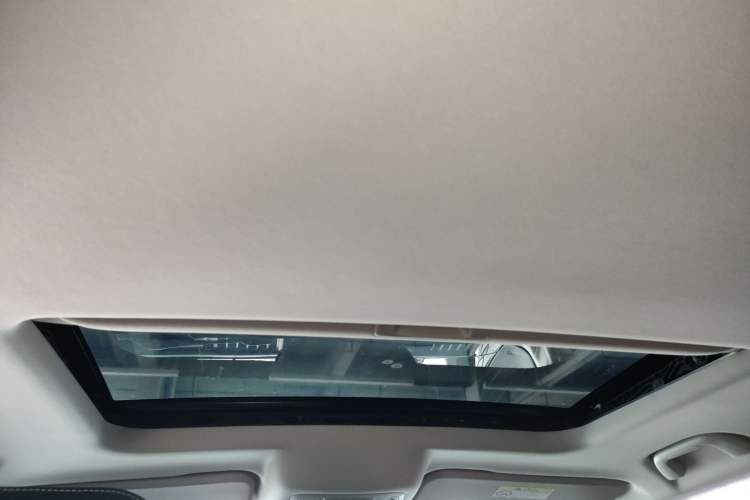 Used Tank 300 2023 Off-Road Edition 2.0T Conqueror