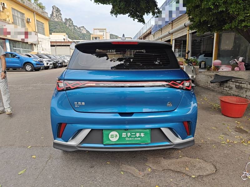 Used BYD Dolphin 2021 401km Knight Edition — 5