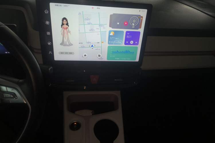 Used SOL E10X 2022 Flower Fairy Style Baby's Breath