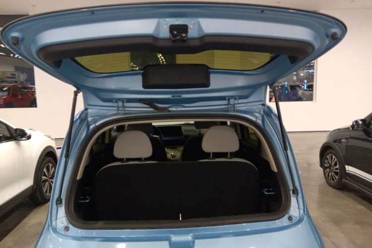 Used ORA White Cat 2020 305 km Luxury Version