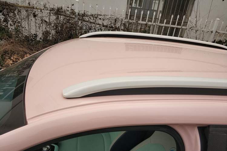 Used Dongfeng NAMMI EX1 2023 PRO Light Wind Edition Lightning Model