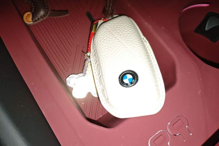 Used BMW 5 Series 2026 530Li Leading M Sport Package