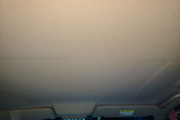 Used Buick GL8 2014 2.4L Classic Edition Headliner