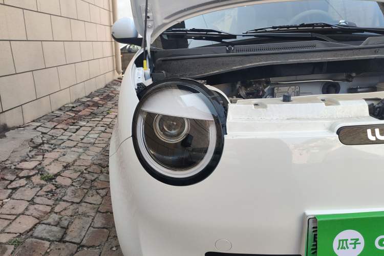 Used Qiyuan Lumin 2023 301km Honey Dew Edition
