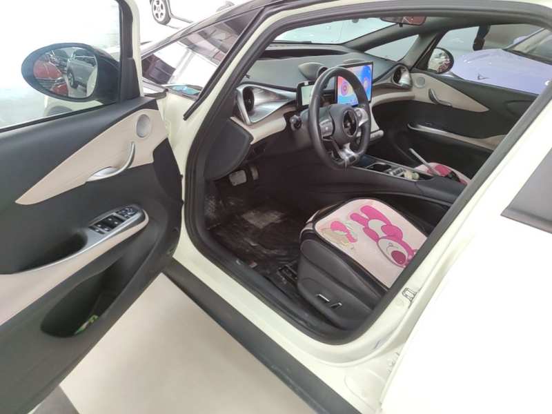 Used BYD Dolphin 2021 405 km Fashion Edition — 15