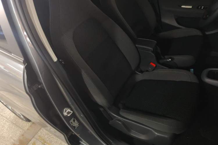 Used Leapmotor T03 2020 400 Standard Edition
