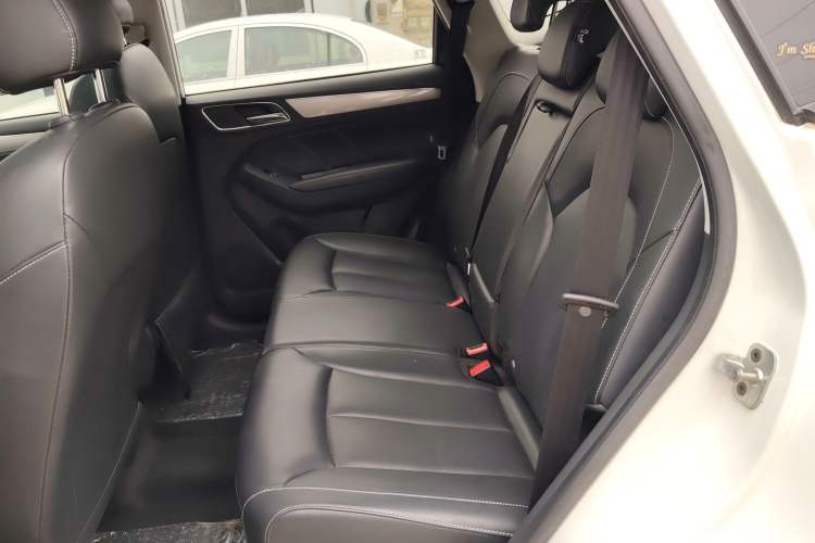 Used Roewe RX5 2018 20T Two-Wheel Drive Manual Flagship Edition
