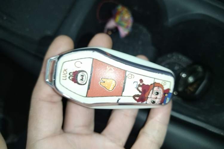 Used BYD Seagull 2025 Intelligent Driving Version 305 km Dynamic Edition Vehicle Key