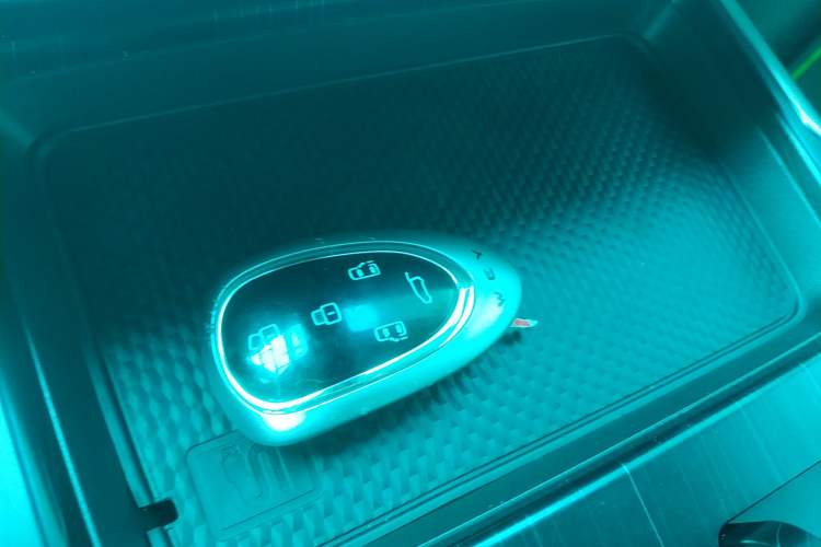 Used Wey Gaoshan 2023 Four-Wheel Drive Flagship Edition