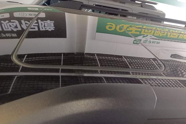 Used Tank 300 2023 Off-Road Edition 2.0T Conqueror
