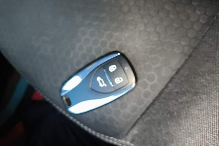 Used Dayun Yuehu 2022 30.66 kWh Two-Wheel Drive Standard Version
