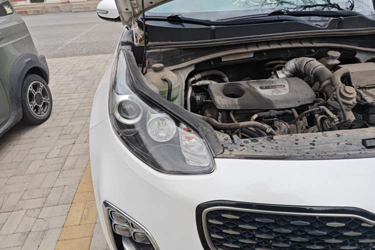 Used Kia KX5 2016 1.6T Automatic Two-Wheel Drive DLX