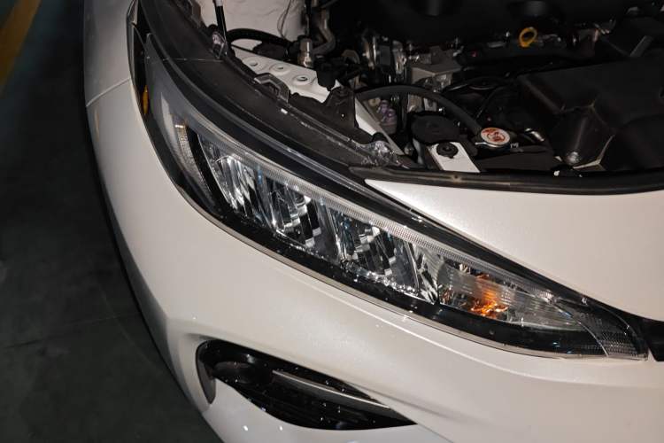 Used Toyota Wildlander 2024 2.0L CVT Two-Wheel Drive Leading Edition