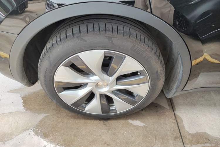 Used Tesla Model Y 2021 Standard Range Rear-Wheel Drive Version