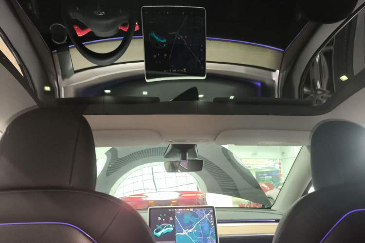 Used Tesla Model Y 2021 Standard Range Rear-Wheel Drive Version
