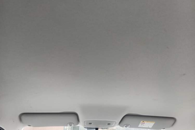 Used Leapmotor T03 2024 310 Comfort Edition Headliner