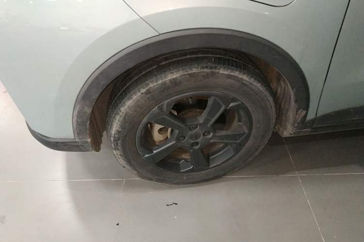 Used Geometry E Firefly 2022 320KM Cute Tiger 4-Seater
