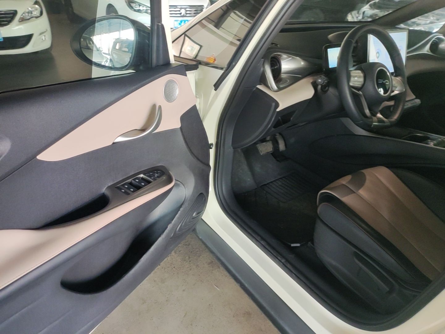BYD Dolphin 2024 Honor Edition 302km Dynamic Version — снимка 18