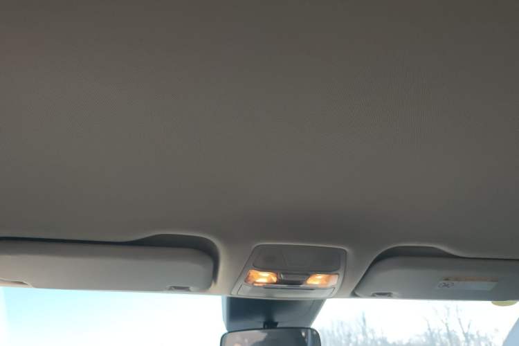 Used Hongqi E-QM5 2024 560km PLUS Headliner