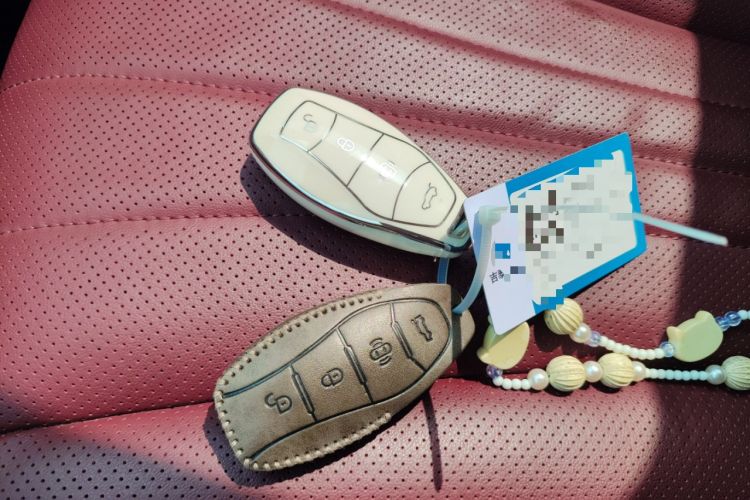 Used Hongqi H5 2024 2.0T Automatic Smart Connect Flagship Edition