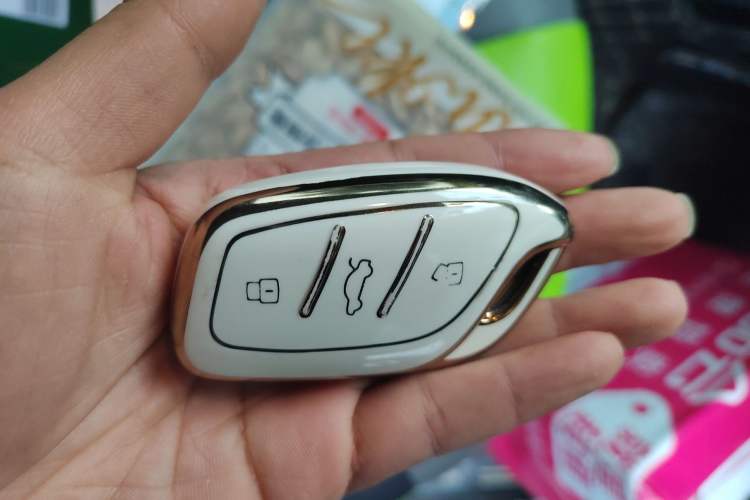 Used Roewe Clever 2021 302km All-Round Version
