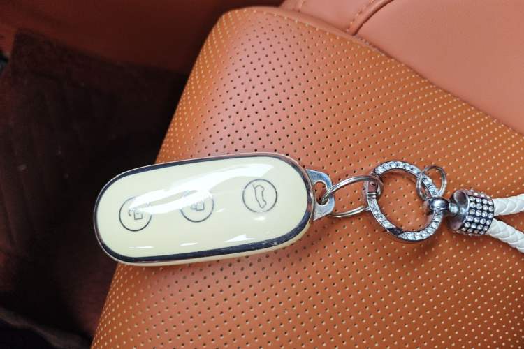 Used Li Auto L6 2024 Max
