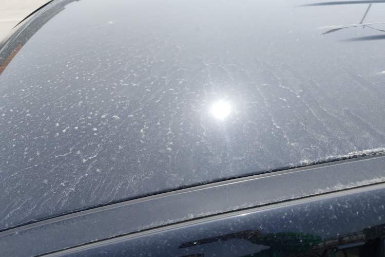 Used Great Wall Poer 2021 2.0T Commercial Version Automatic Diesel Two-Wheel Drive Elite Trim with Long Bed – GW4D20M