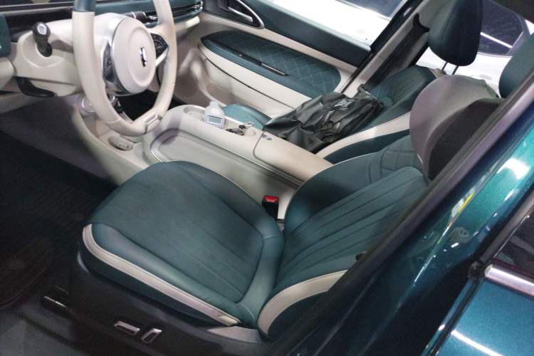 Used ORA Good Cat 2024 401 km Luxury Version