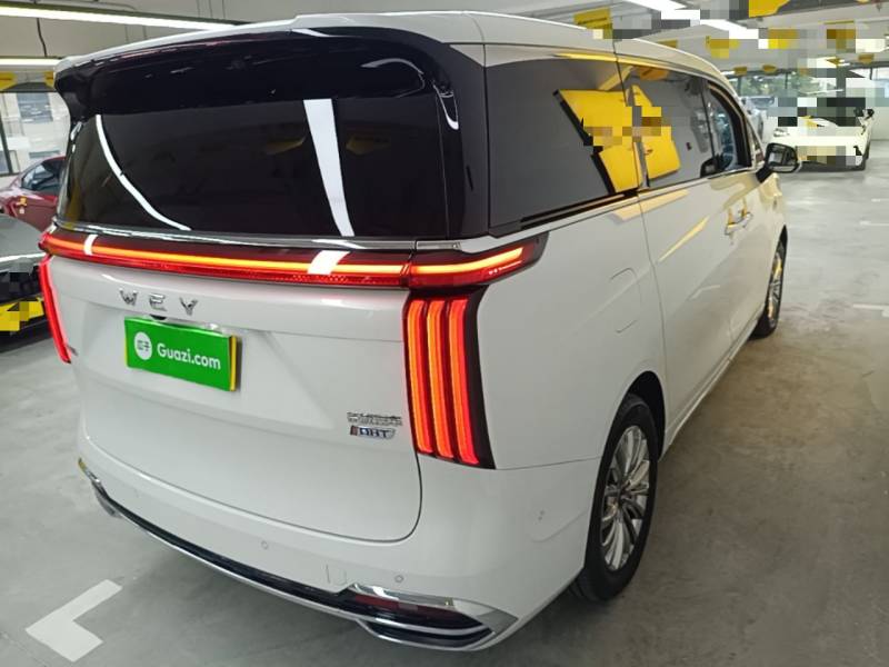 Used Wey Gaoshan 2023 Four-Wheel Drive Flagship Edition — 6