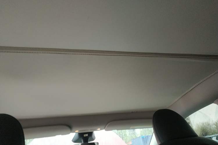 Used Tesla Model Y 2024 Rear-Wheel-Drive Version Headliner