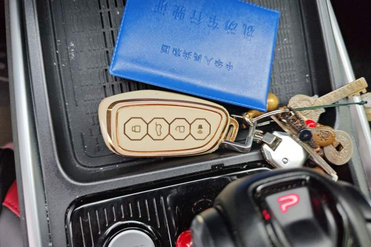 Used Haval X DOG 2022 1.5T DCT Two-Wheel Drive Trendy Edition