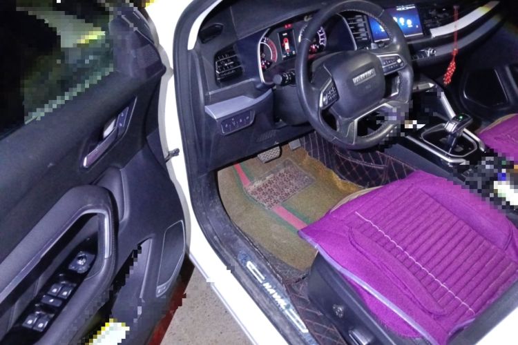 Used Haval H6 2017 Red Label 2.0T Automatic Two-Wheel Drive ZhiShang Model