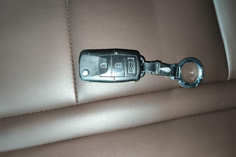 Used FORTHING T5 2022 Grand Edition 1.6L Manual Dream-Chasing Five-Seat Model Interior 1