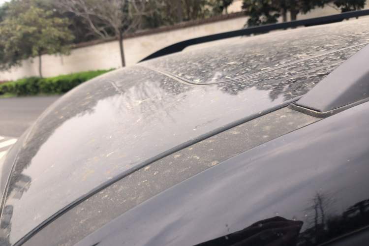 Used Formula Leopard Tai 7 2025 Model 200 km Two-Wheel Drive Max Edition
