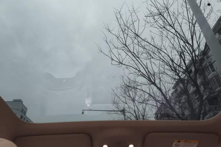 Used firefly firefly 2025 Illuminated Edition