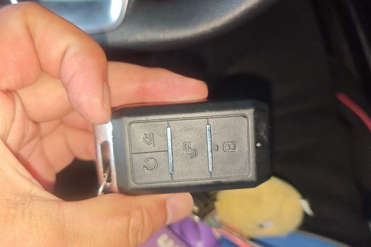 Used BYD Yuan New Energy 2019 EV535 Smart Connect Trendsetting Model