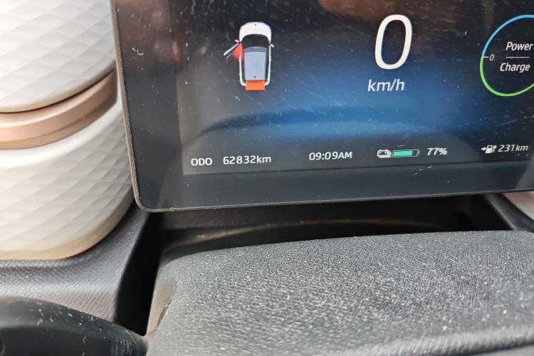 Used SOL E10X 2022 Flower Fairy Style Baby's Breath Odometer Close Up