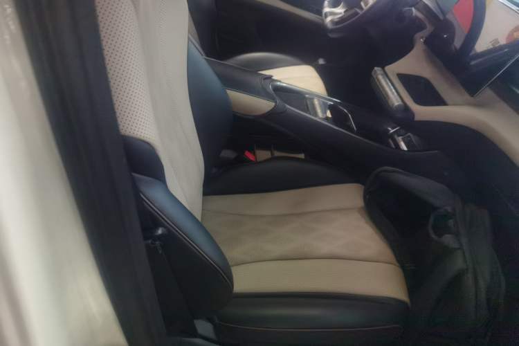 Used BYD Dolphin 2024 Honor Edition 420km Fashion Version Right Front Seat