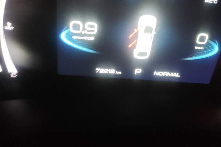 Used Haval F7x 2019 1.5T Two-Wheel Drive Smart & Trendy Edition Odometer Close Up