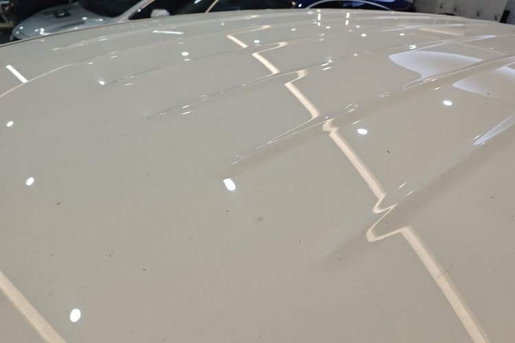 Used Livan Maple 80v L 2024 515 km Range 7 Seats Roof