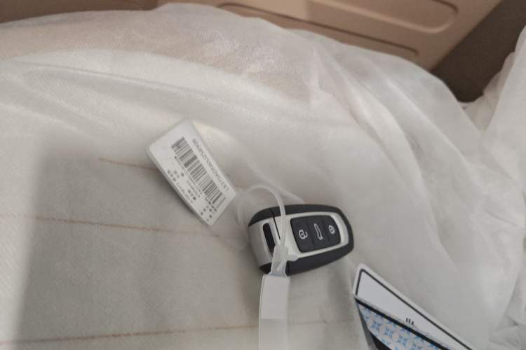 Used Geely Galaxy Panda 2024 Panda Mini 200km Endurance Bear