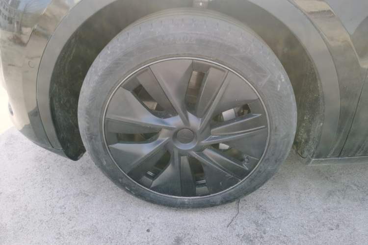 Used Tesla Model Y 2023 Rear-Wheel-Drive Version Exterior 4